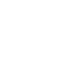 ダウンロードボタン